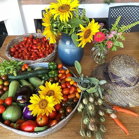 Agriturismo Podere Prasiano Marano sul Panaro المظهر الخارجي الصورة
