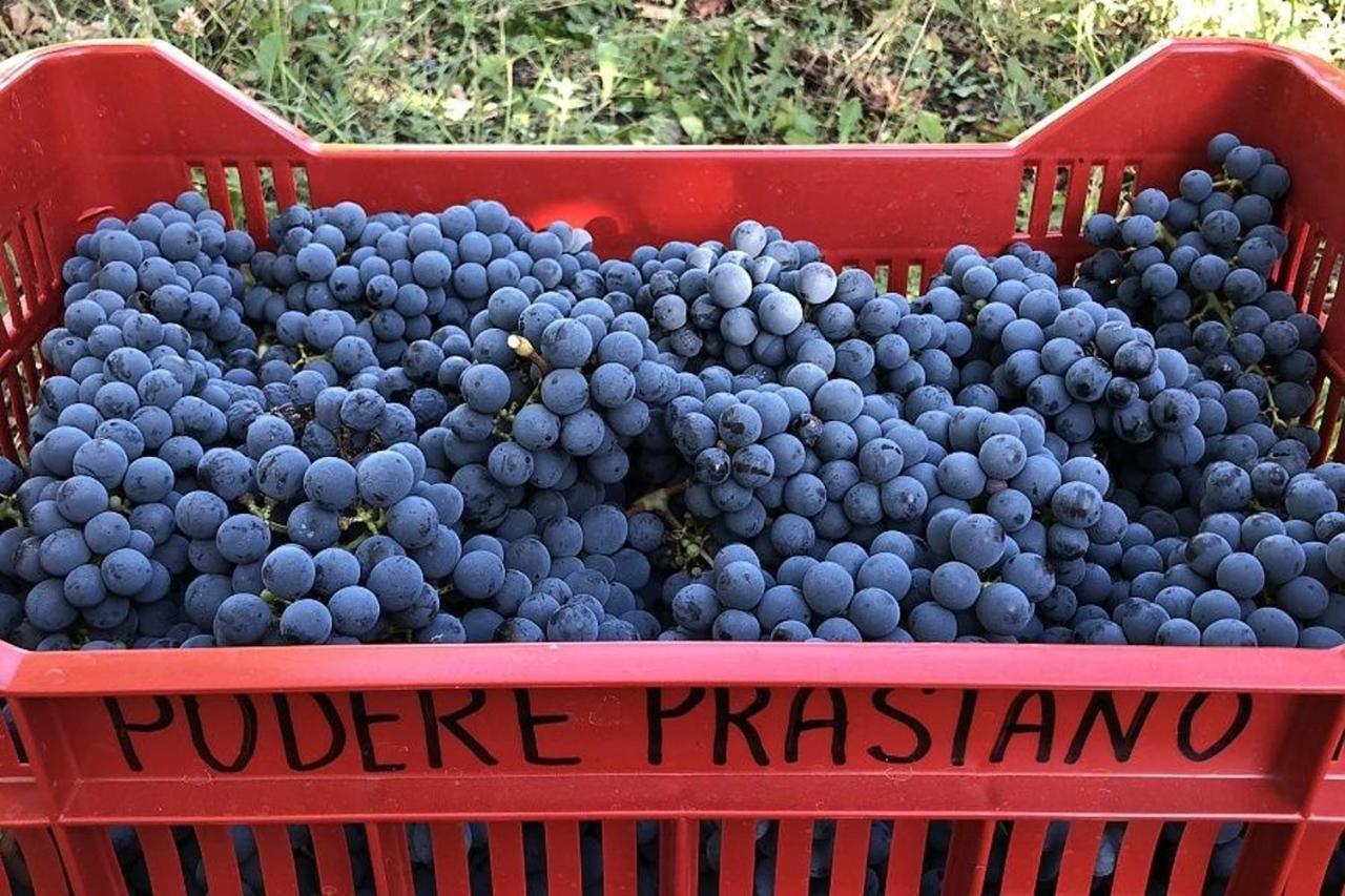 Agriturismo Podere Prasiano Marano sul Panaro المظهر الخارجي الصورة