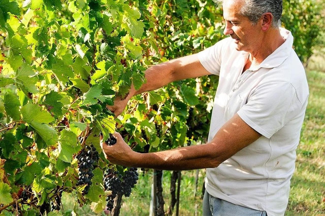 فيلا Agriturismo Podere Prasiano Marano sul Panaro المظهر الخارجي الصورة